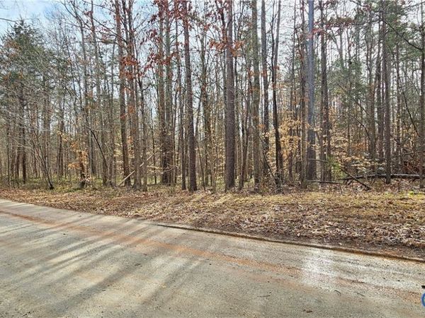 9-A-61 Springfield Road , Meherrin, VA 23954