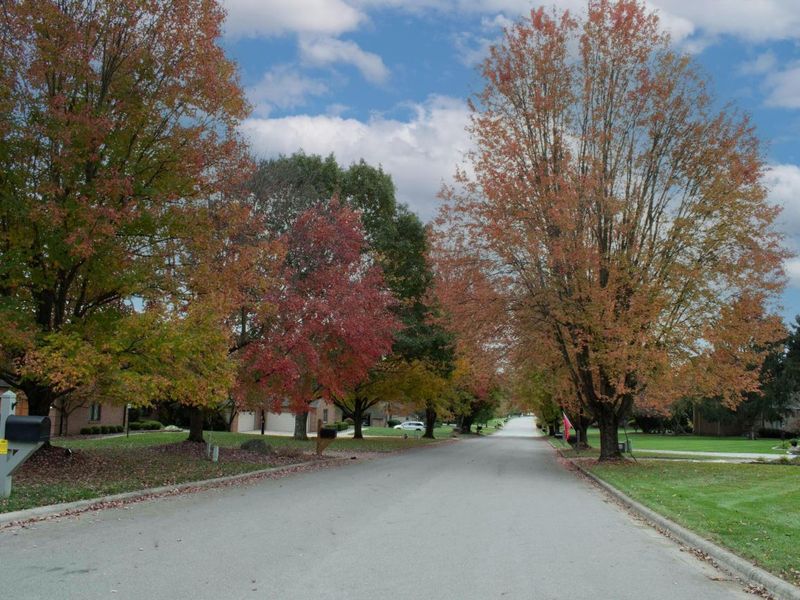 238 Bryn Du Drive, Granville, OH 43023 Photo 78