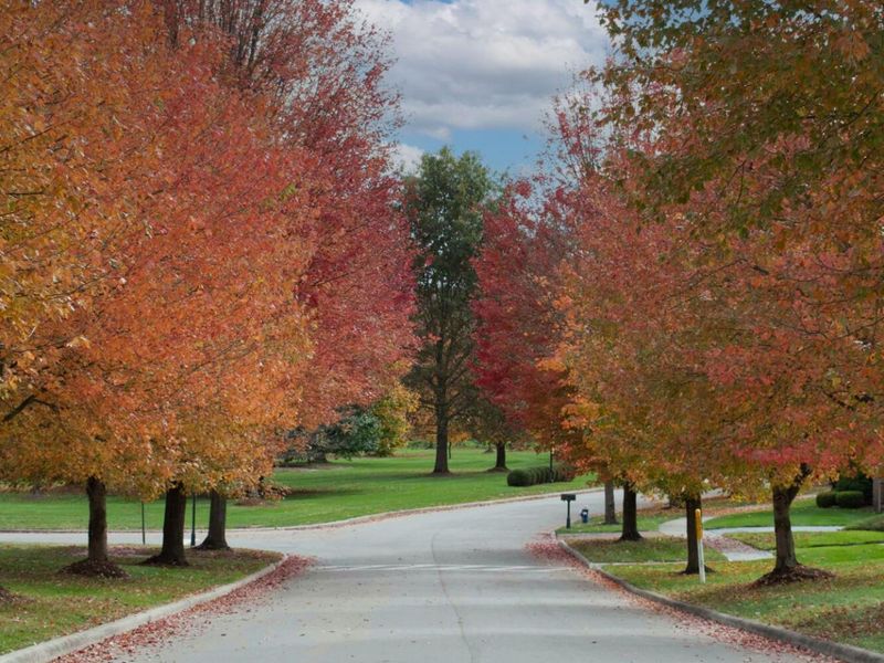 238 Bryn Du Drive, Granville, OH 43023 Photo 79