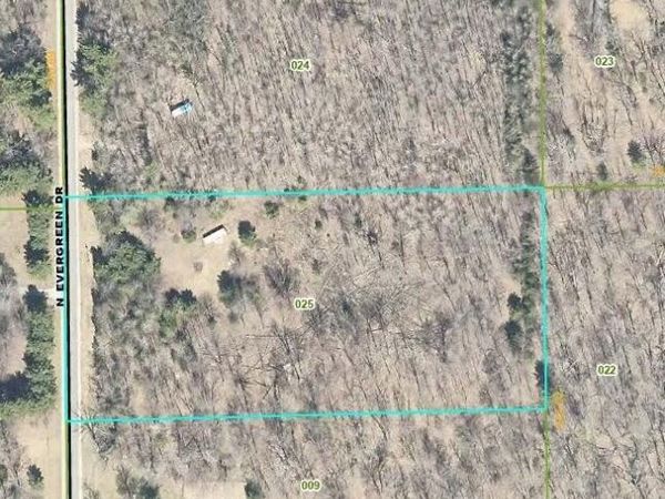 4682 N Evergreen Drive, White Cloud, MI 49349