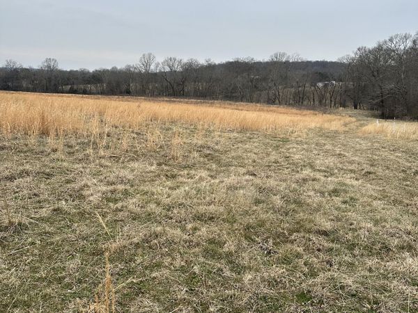 0 Lick Creek Trail, Lyles, TN 37098