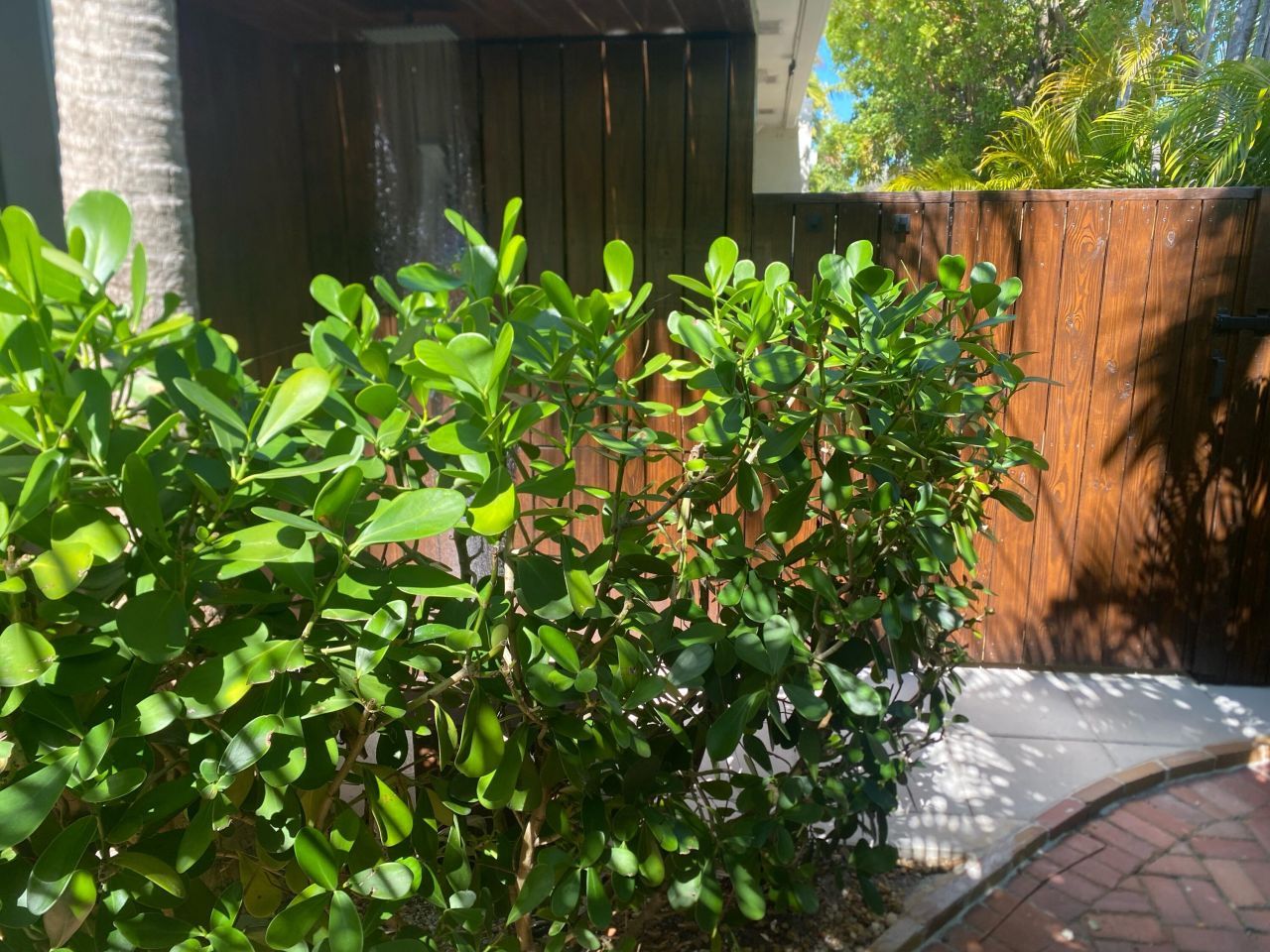 1422 Patricia Street, Key West, FL 33040 Photo