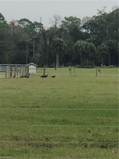 3790 Goggin Rd, Alva, FL 33920 Photo