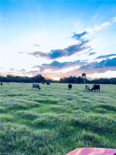 3790 Goggin Rd, Alva, FL 33920 Photo