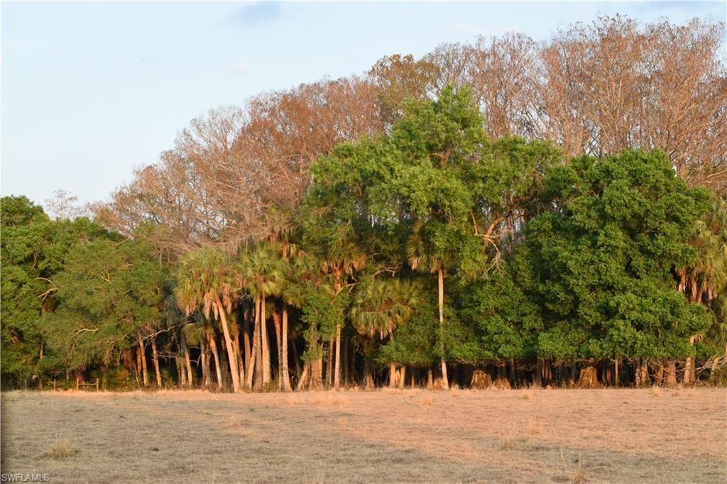 3790 Goggin Rd, Alva, FL 33920 Photo