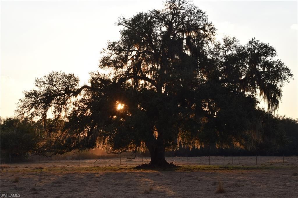 3790 Goggin Rd, Alva, FL 33920 Photo