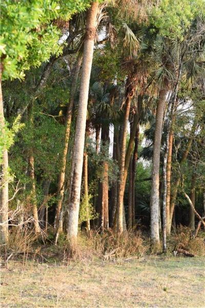 3790 Goggin Rd, Alva, FL 33920 Photo