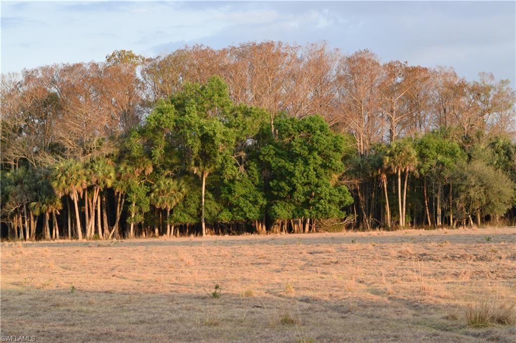 3790 Goggin Rd, Alva, FL 33920 Photo