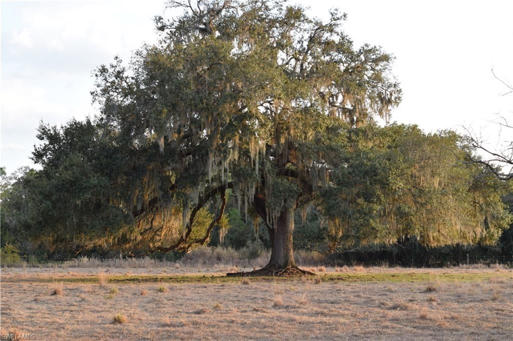 3790 Goggin Rd, Alva, FL 33920 Photo