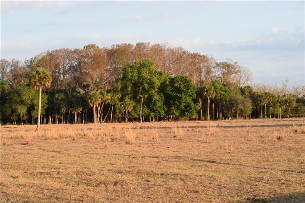 3790 Goggin Rd, Alva, FL 33920 Photo