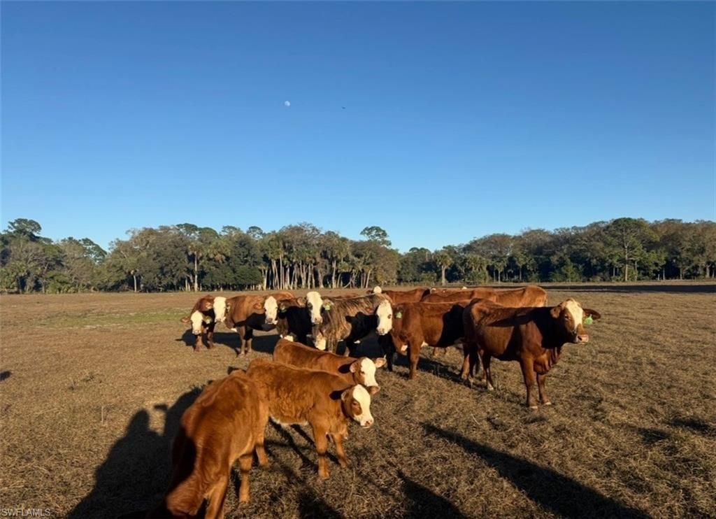 3790 Goggin Rd, Alva, FL 33920 Photo