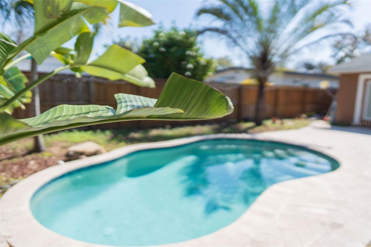 619 Garland Street N, Saint Petersburg, FL 33703 Photo