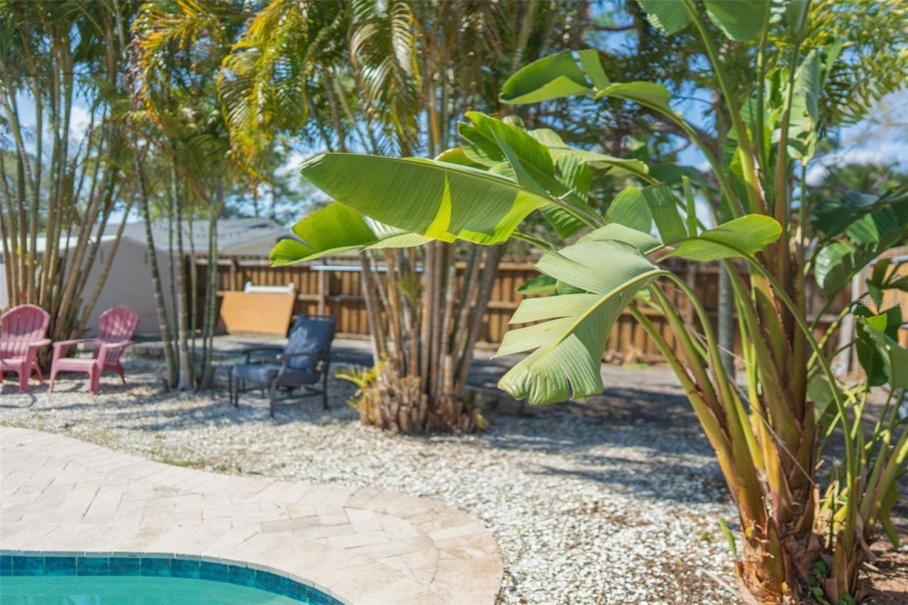 619 Garland Street N, Saint Petersburg, FL 33703 Photo