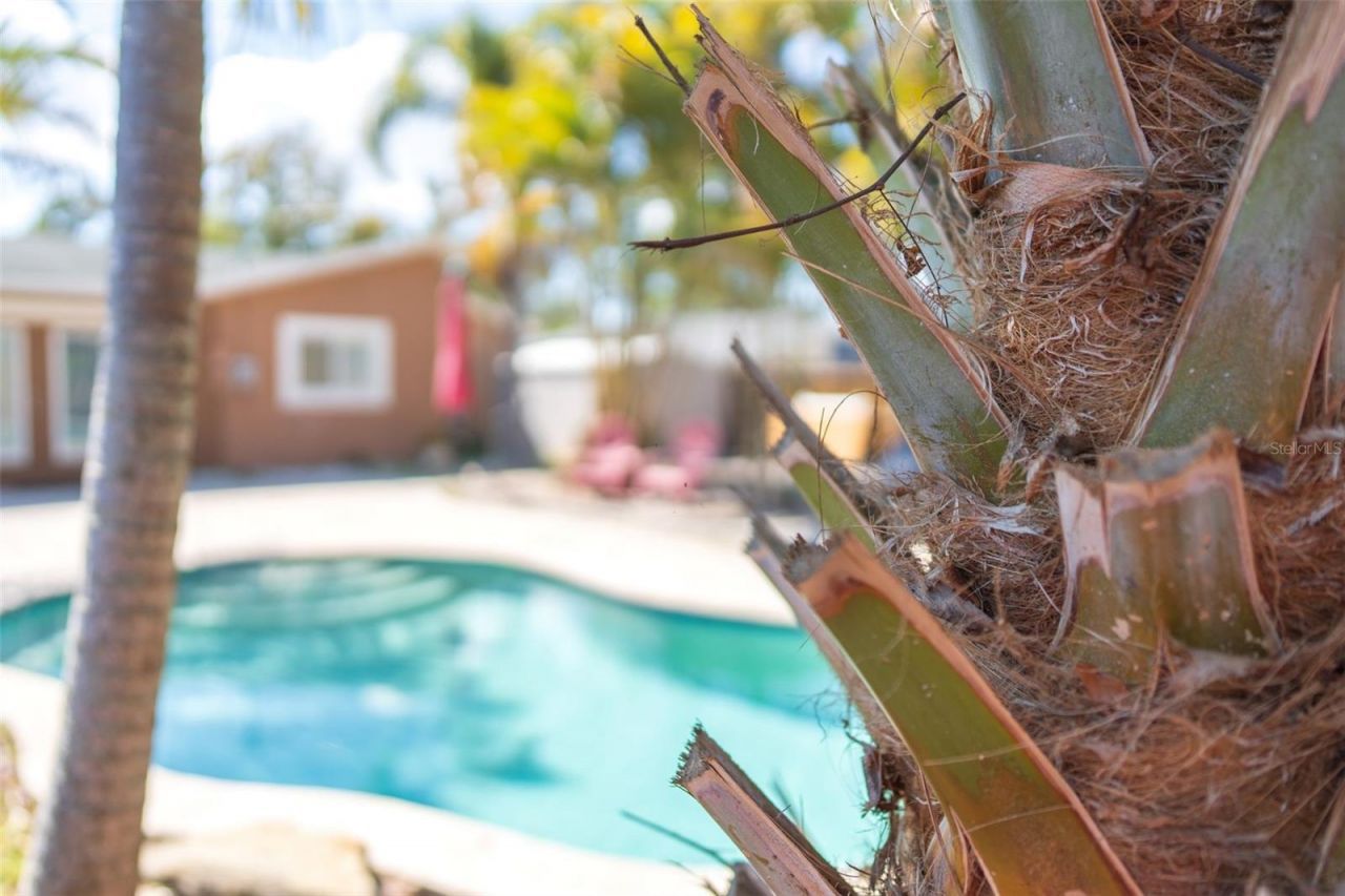 619 Garland Street N, Saint Petersburg, FL 33703 Photo