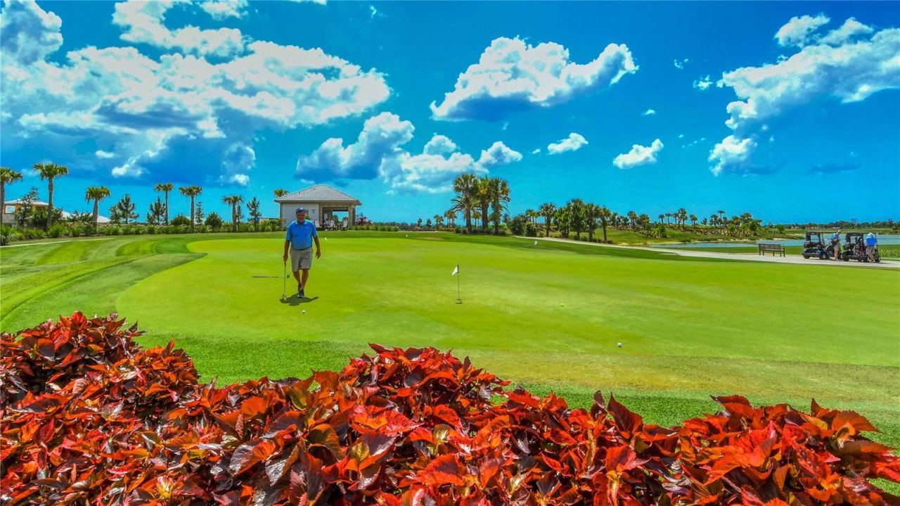 16139 Isola Place, Bradenton, FL 34211 Photo