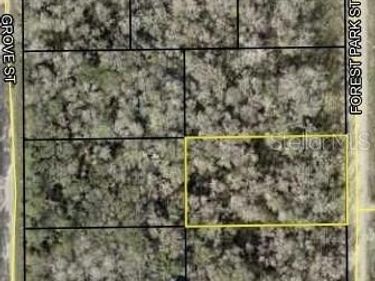 2068 FOREST PARK STREET, BUNNELL, FL 32110