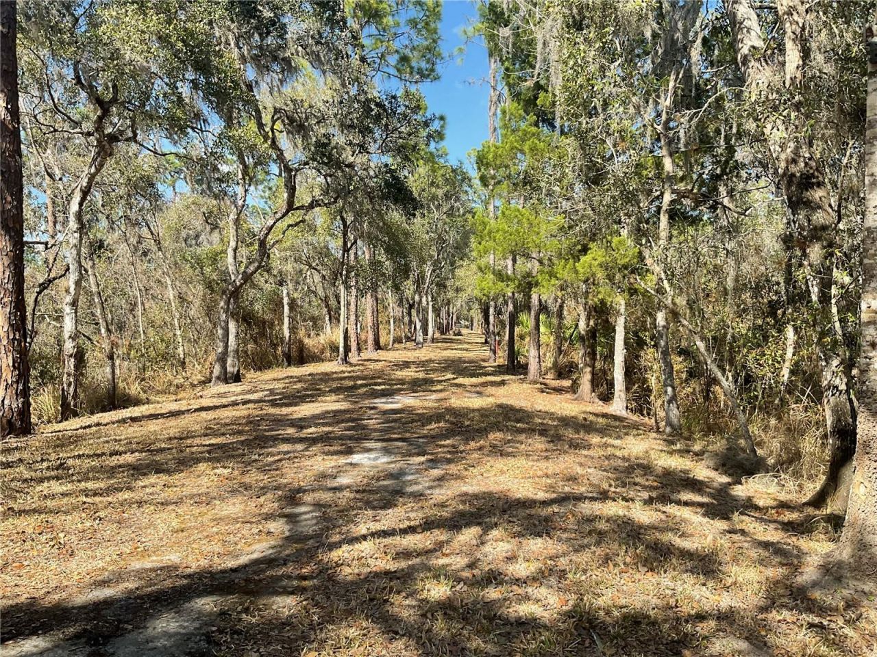 4051-3803 Dixiana Drive, Bowling Green, FL 33834 Main Photo