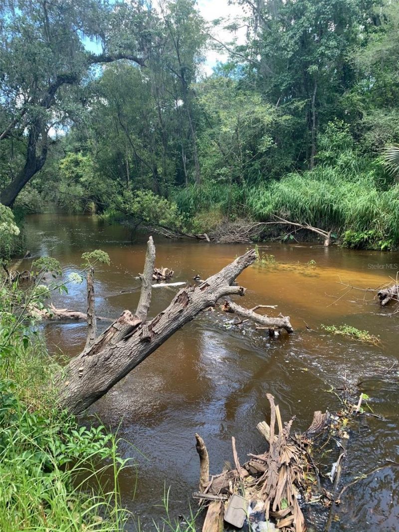 4051-3803 Dixiana Drive, Bowling Green, FL 33834 Photo