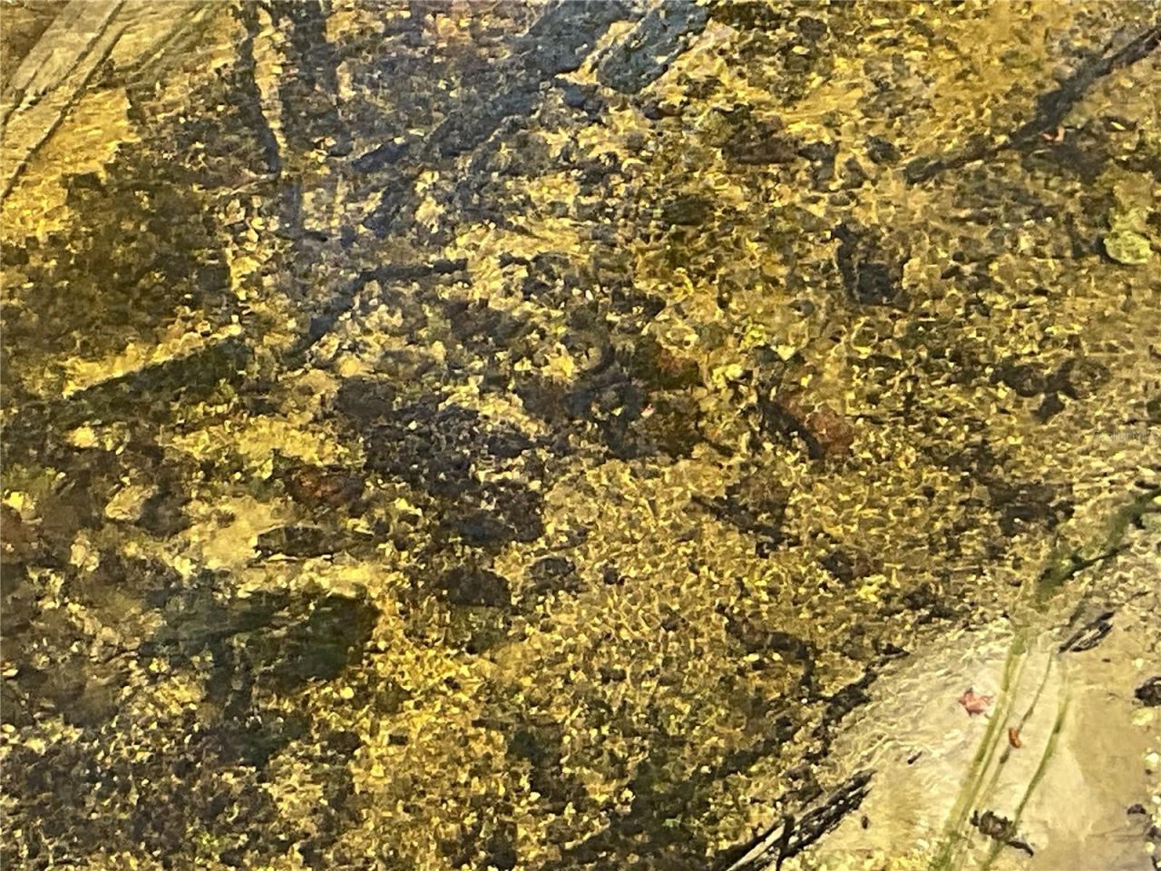 4051-3803 Dixiana Drive, Bowling Green, FL 33834 Photo