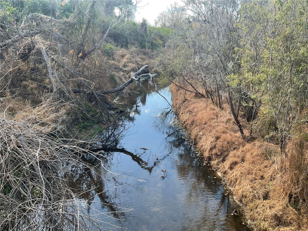 4051-3803 Dixiana Drive, Bowling Green, FL 33834 Photo