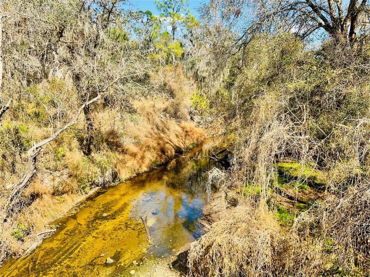 4051-3803 Dixiana Drive, Bowling Green, FL 33834 Photo