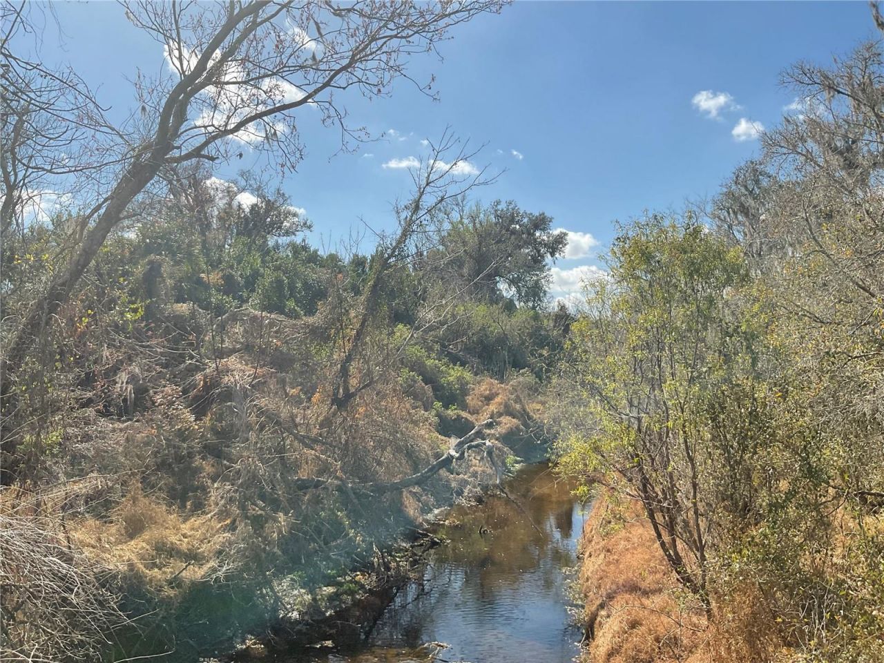 4051-3803 Dixiana Drive, Bowling Green, FL 33834 Photo