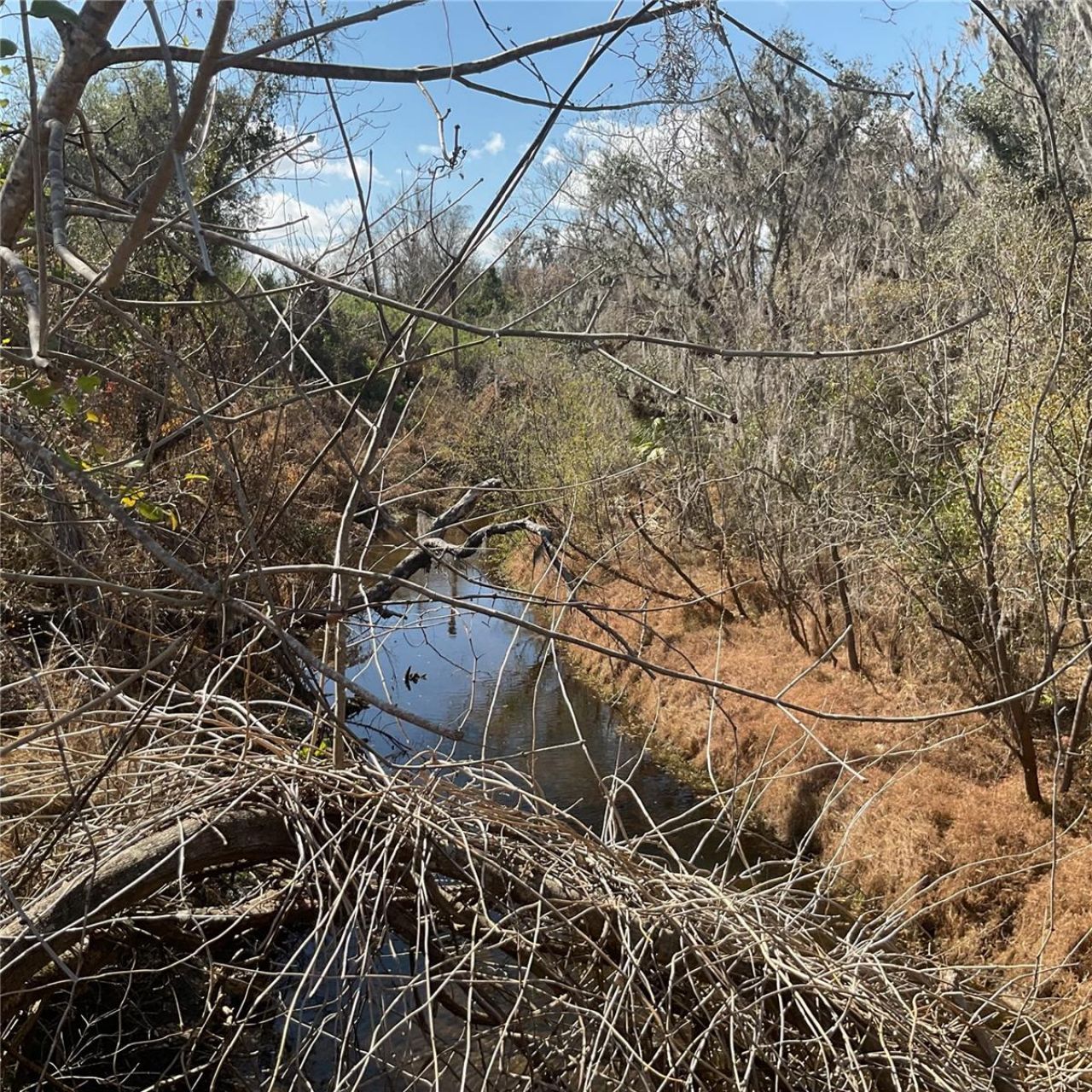 4051-3803 Dixiana Drive, Bowling Green, FL 33834 Photo