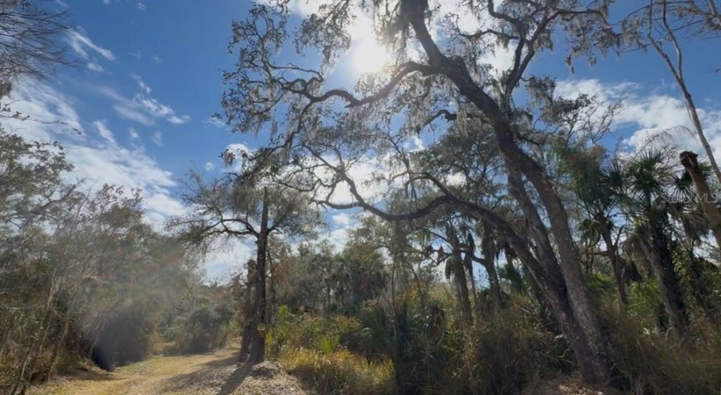 4051-3803 Dixiana Drive, Bowling Green, FL 33834 Photo