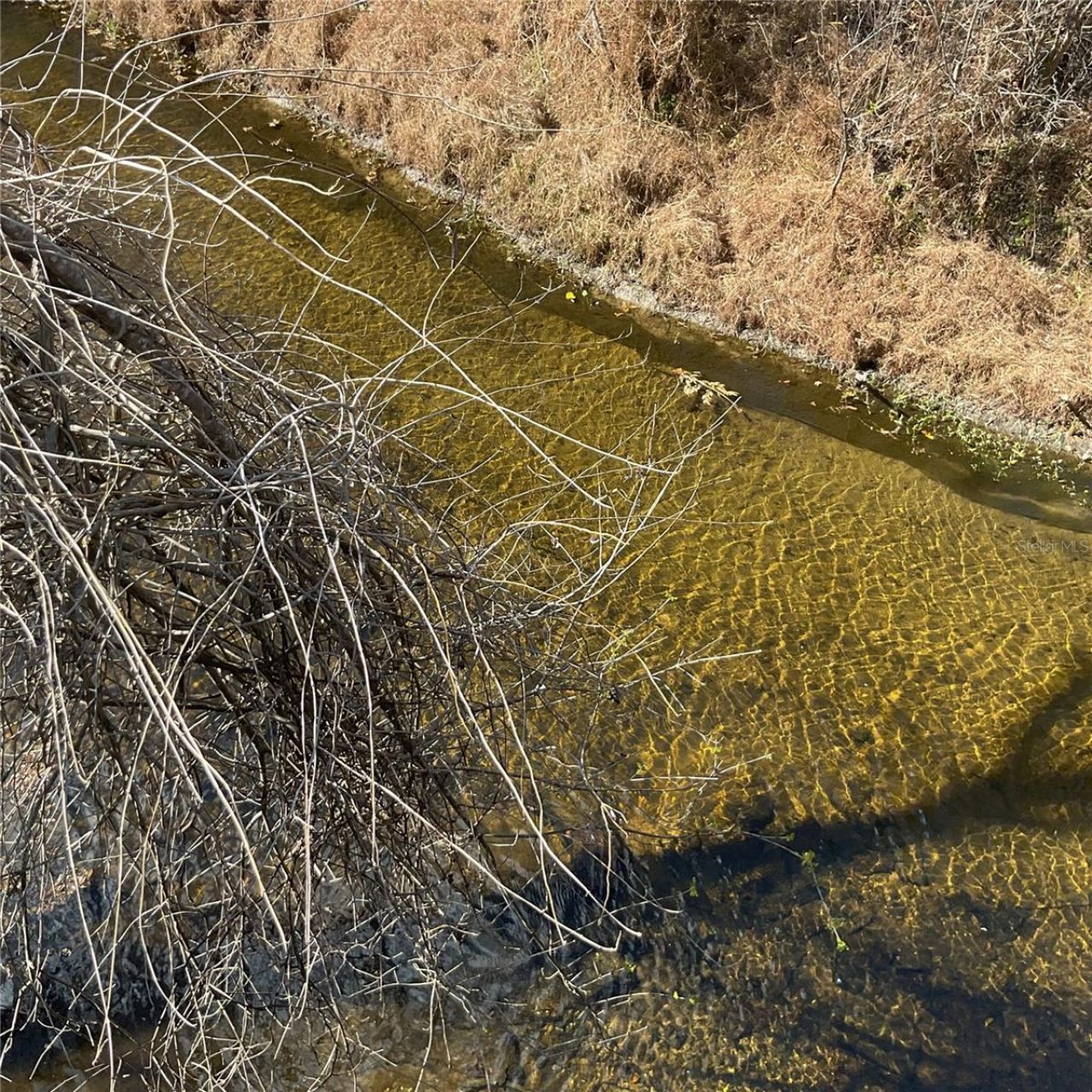 4051-3803 Dixiana Drive, Bowling Green, FL 33834 Photo