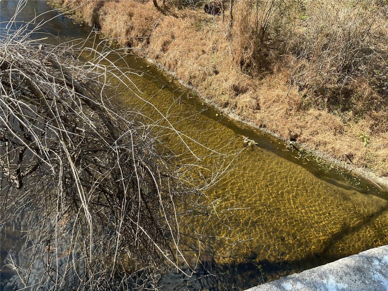 4051-3803 Dixiana Drive, Bowling Green, FL 33834 Photo