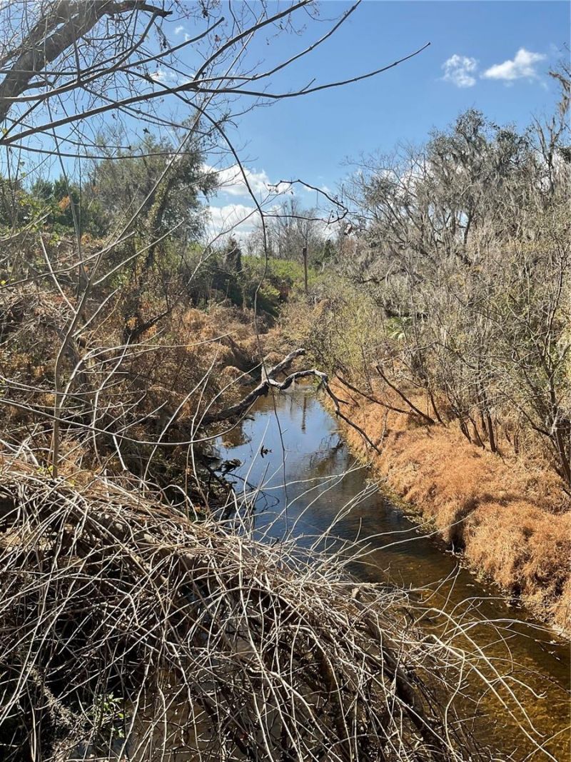 4051-3803 Dixiana Drive, Bowling Green, FL 33834 Photo