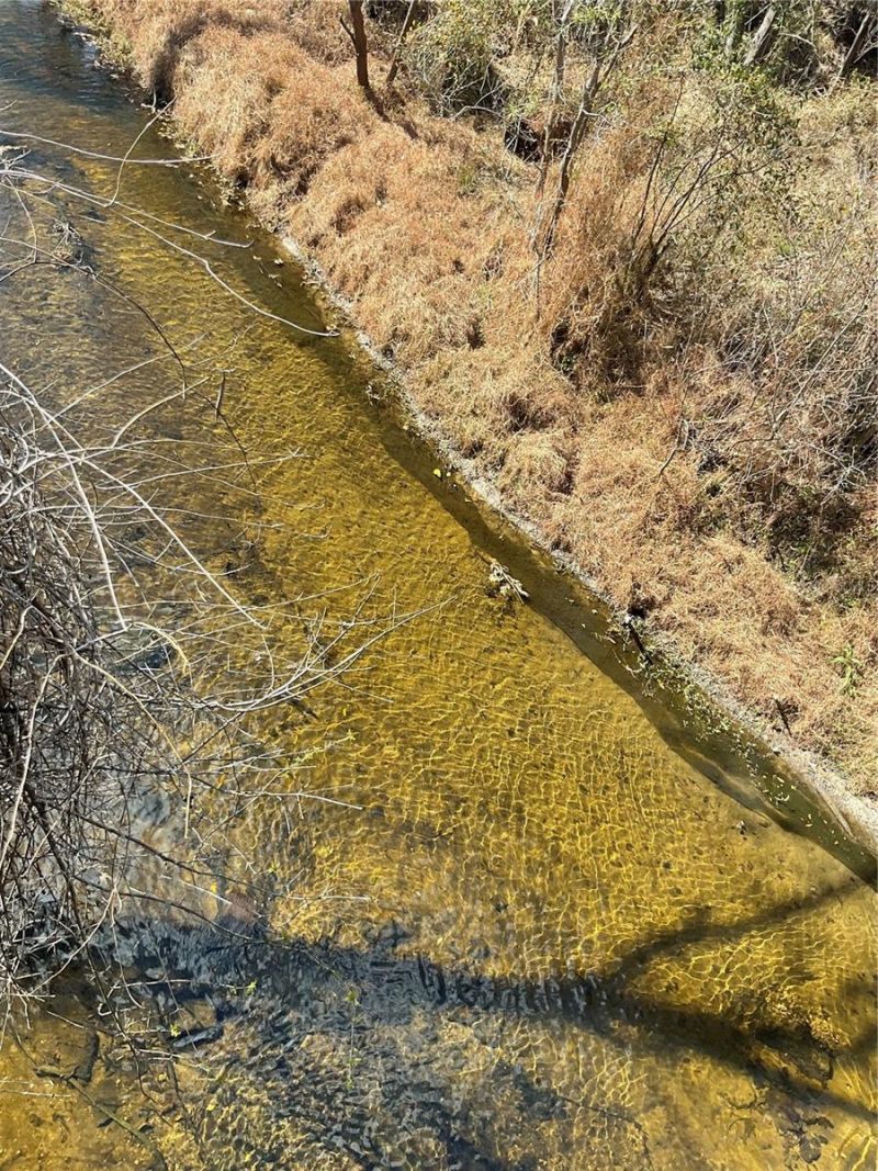 4051-3803 Dixiana Drive, Bowling Green, FL 33834 Photo