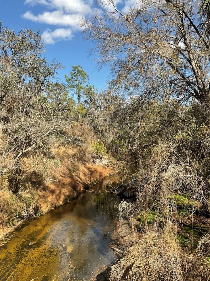 4051-3803 Dixiana Drive, Bowling Green, FL 33834 Photo