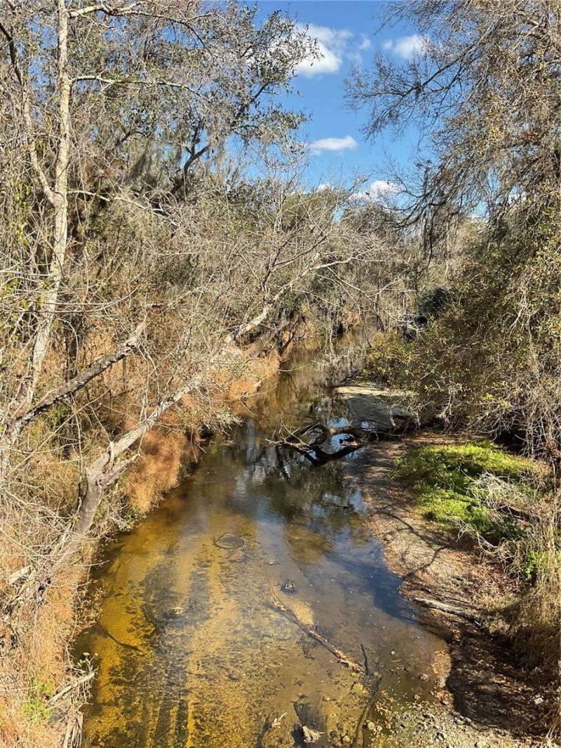 4051-3803 Dixiana Drive, Bowling Green, FL 33834 Photo