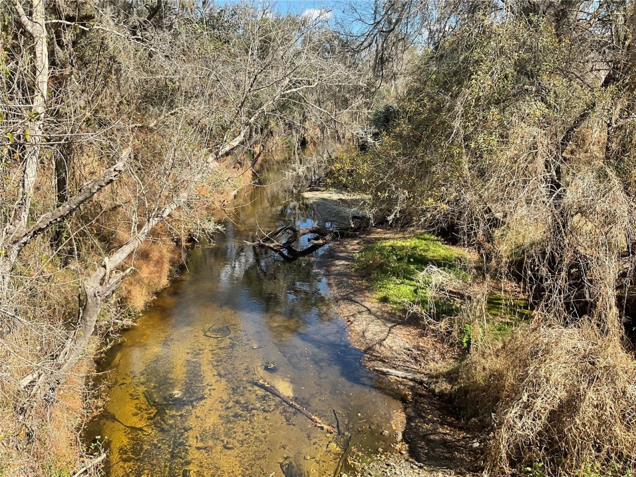 4051-3803 Dixiana Drive, Bowling Green, FL 33834 Photo