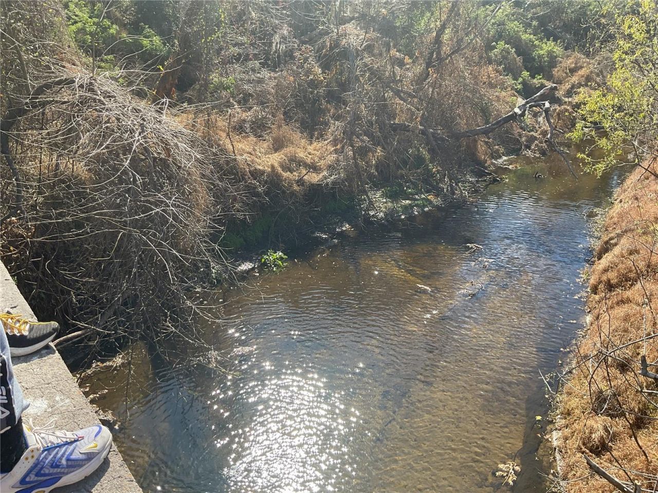 4051-3803 Dixiana Drive, Bowling Green, FL 33834 Photo