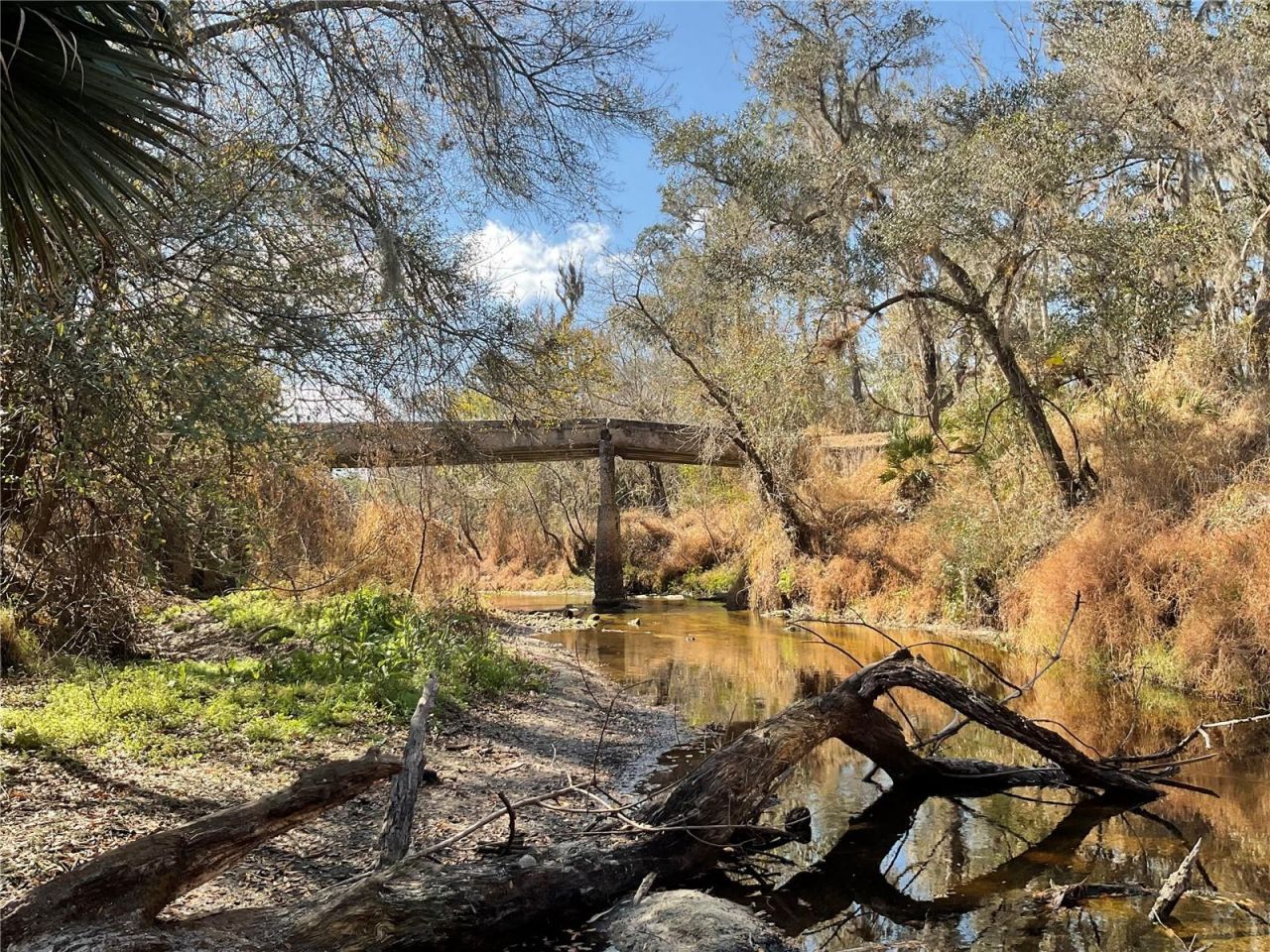 4051-3803 Dixiana Drive, Bowling Green, FL 33834 Photo