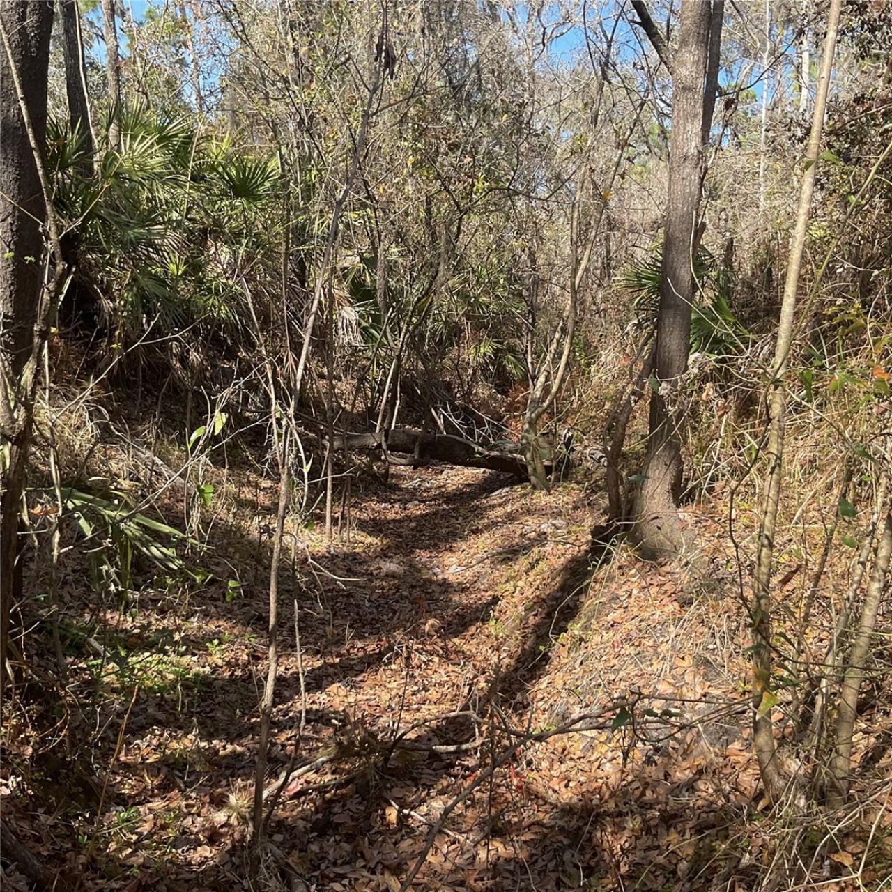 4051-3803 Dixiana Drive, Bowling Green, FL 33834 Photo