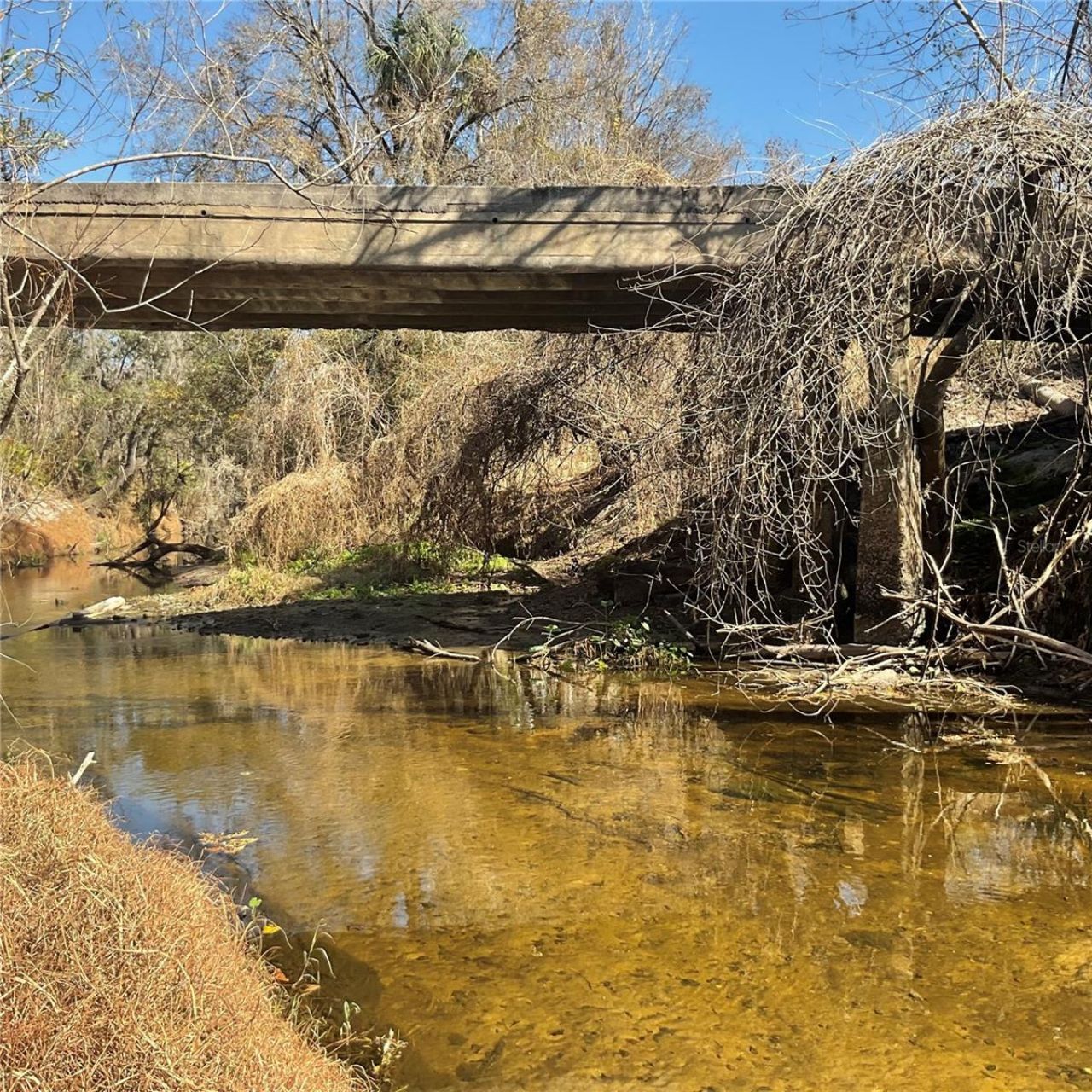 4051-3803 Dixiana Drive, Bowling Green, FL 33834 Photo