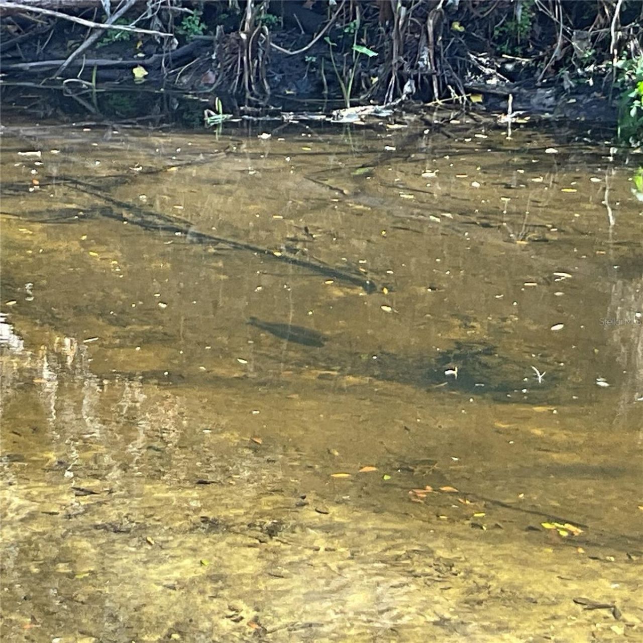 4051-3803 Dixiana Drive, Bowling Green, FL 33834 Photo