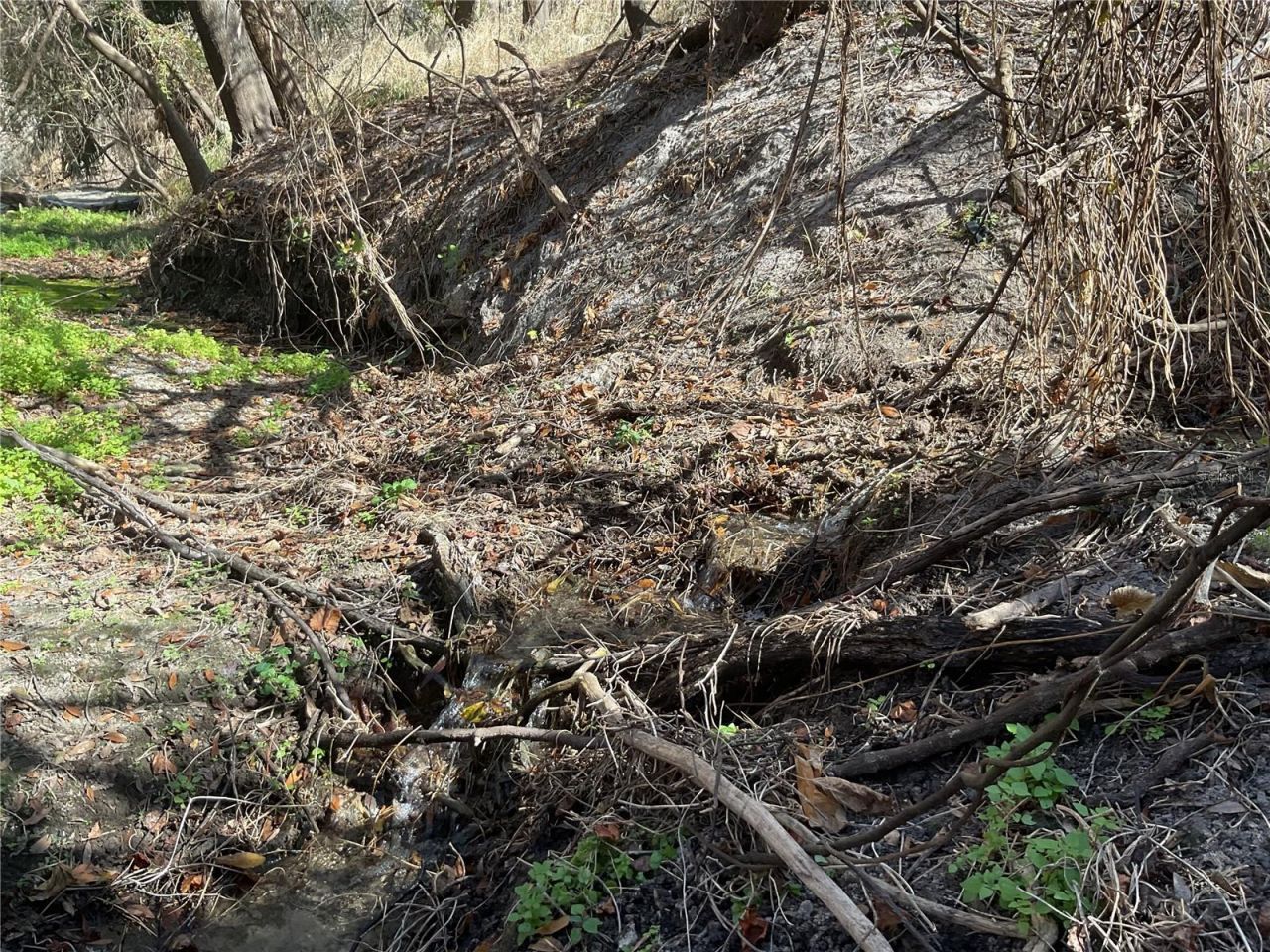 4051-3803 Dixiana Drive, Bowling Green, FL 33834 Photo