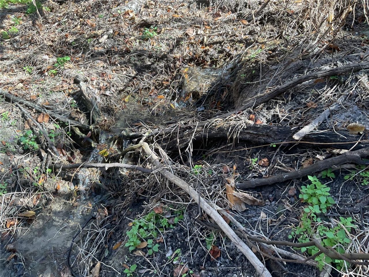 4051-3803 Dixiana Drive, Bowling Green, FL 33834 Photo