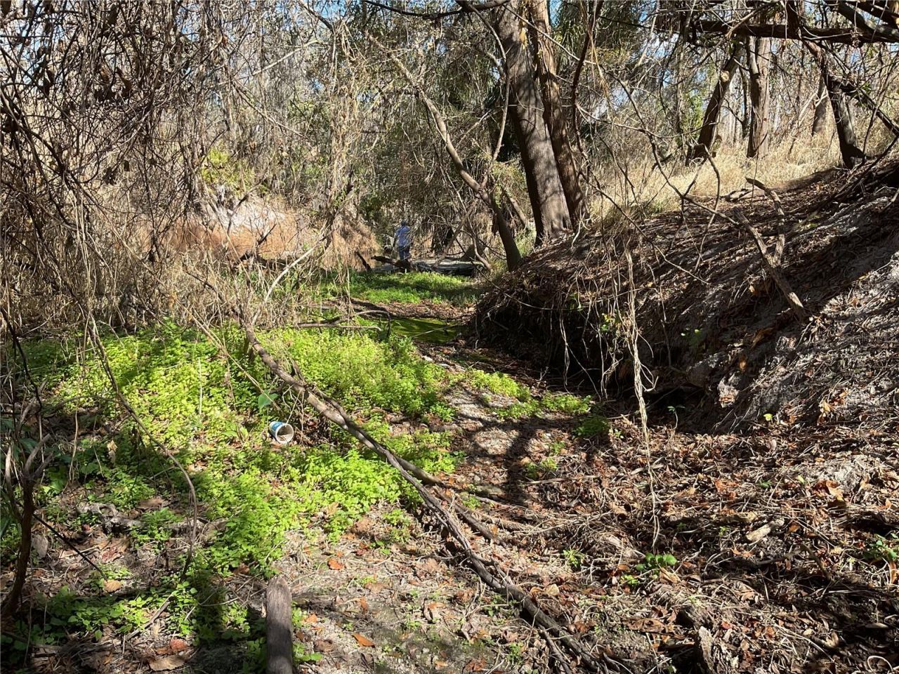 4051-3803 Dixiana Drive, Bowling Green, FL 33834 Photo