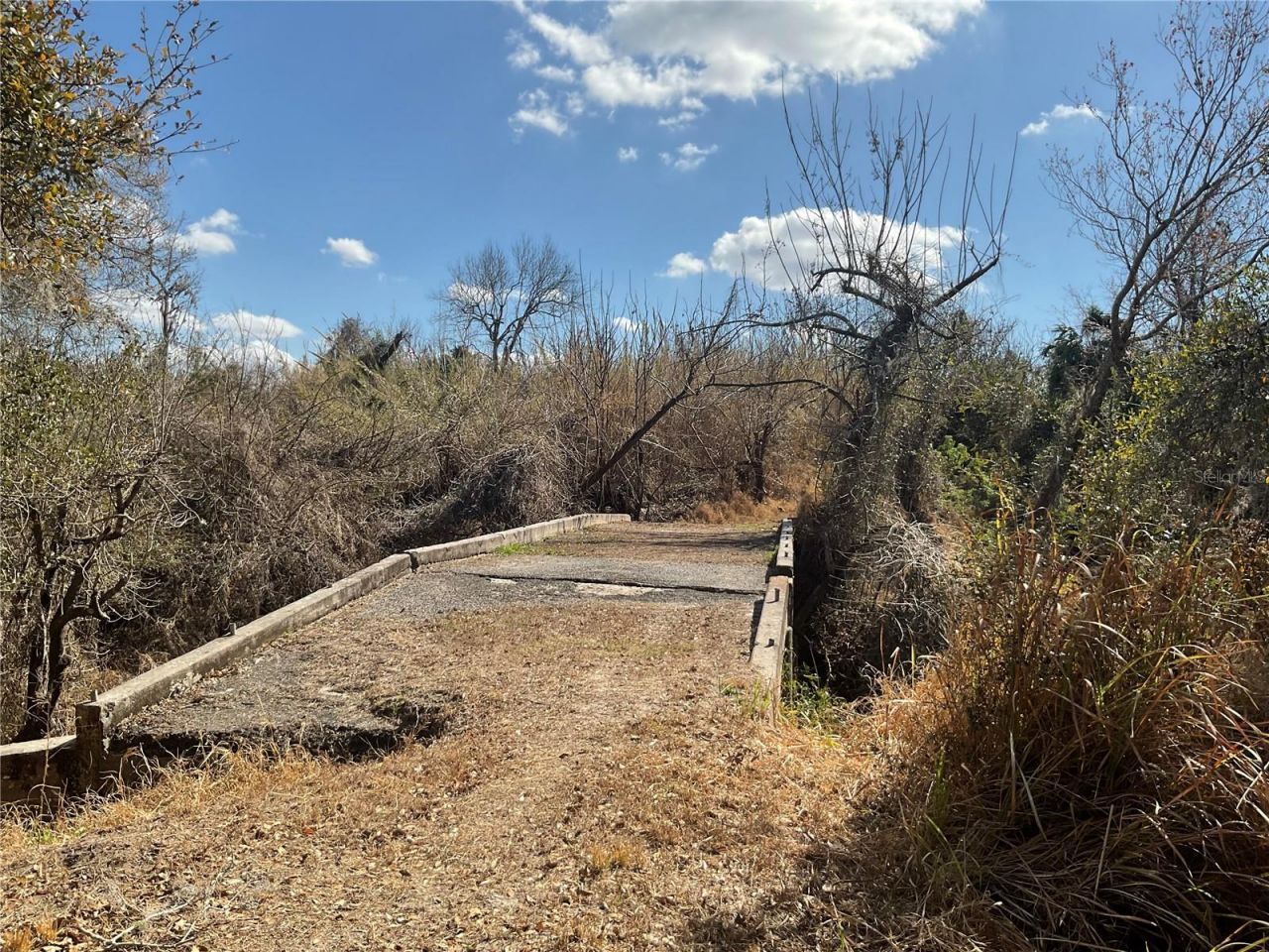 4051-3803 Dixiana Drive, Bowling Green, FL 33834 Photo