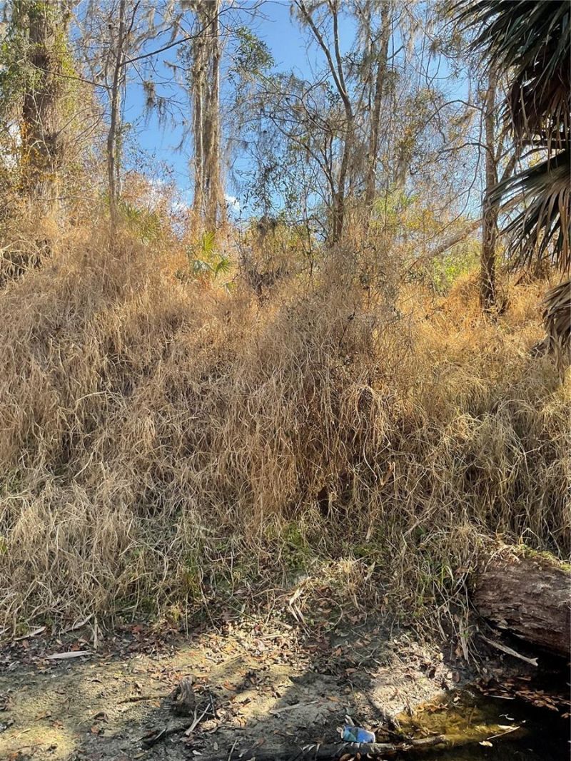 4051-3803 Dixiana Drive, Bowling Green, FL 33834 Photo