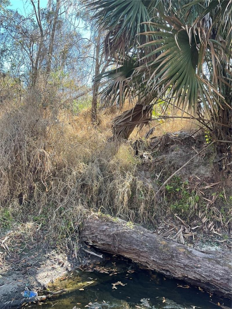 4051-3803 Dixiana Drive, Bowling Green, FL 33834 Photo