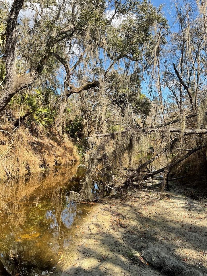 4051-3803 Dixiana Drive, Bowling Green, FL 33834 Photo