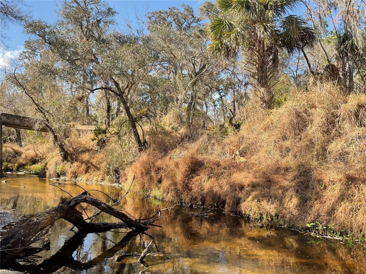 4051-3803 Dixiana Drive, Bowling Green, FL 33834 Photo