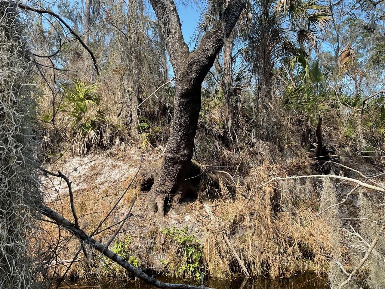 4051-3803 Dixiana Drive, Bowling Green, FL 33834 Photo