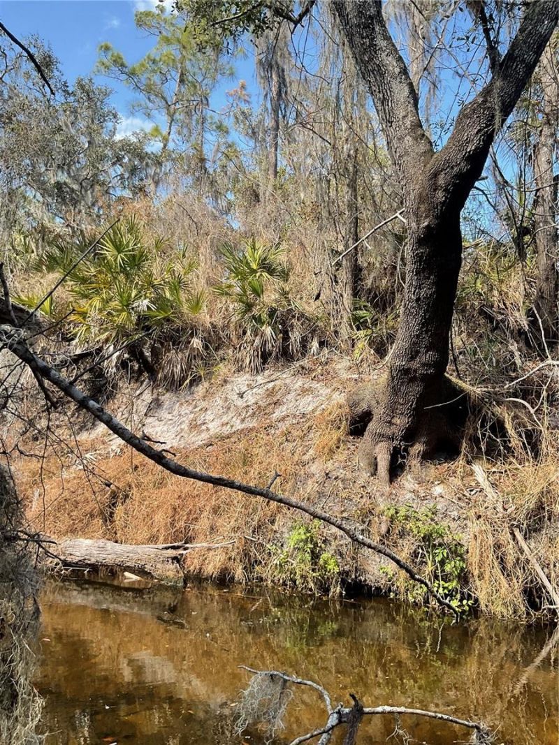 4051-3803 Dixiana Drive, Bowling Green, FL 33834 Photo